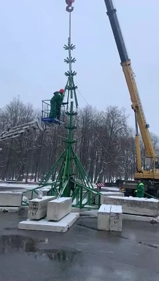 В Великом Новгороде устанавливают новогоднюю ёлку