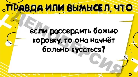 ПРАВДА ИЛИ ВЫМЫСЕЛ