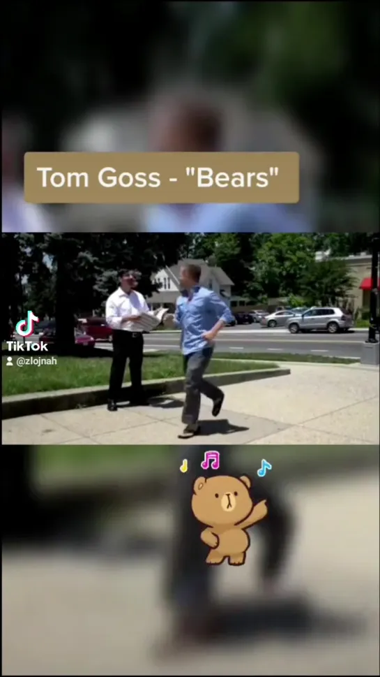 Tom Goss - Gay Bear