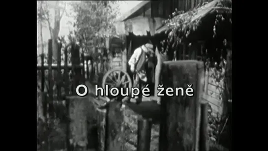 Чешские сказки: Глупая жена(на чеш.яз.)/České pohádky: O hloupé ženě (1968)