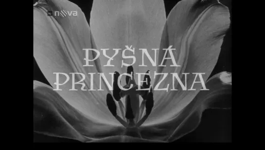 Горделивая принцесса / Pysna princezna (1952)