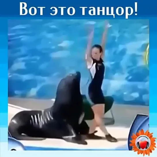 Вот это танцор!!!