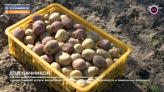 Мегаполис - Для дачников - Нижневартовск