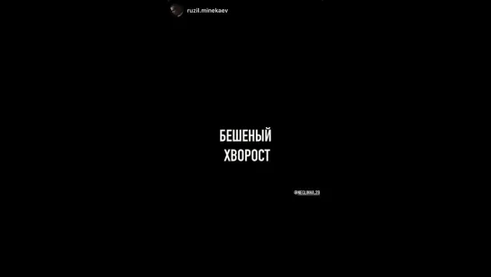 "Бешеный Хворост" трейлер 2