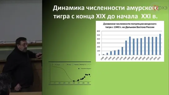 Михаил Кречмар. Тигры и леопарды России (2016)