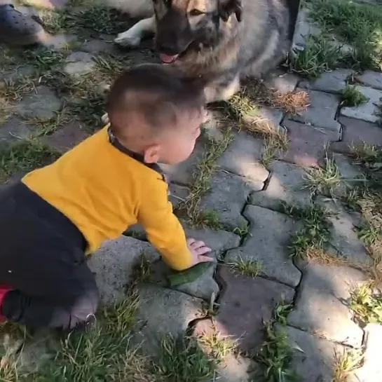 Видео от ДВОРЕЦ ИБРАГИМА ПАШИ