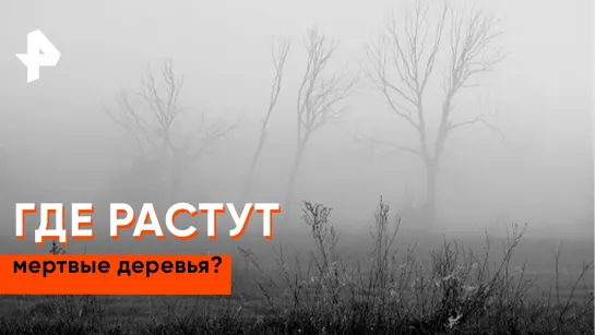 «Загадки человечества»: где растут мертвые деревья?