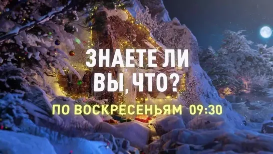 Алексей Иванченко из программы «Знаете ли вы, что?» настроен разрушать