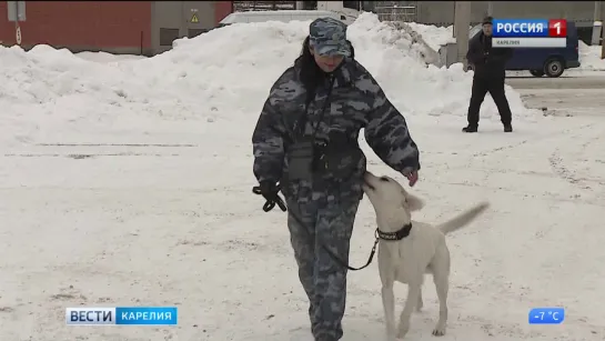 В Сортавальском колледже будут учиться будущие кинологи