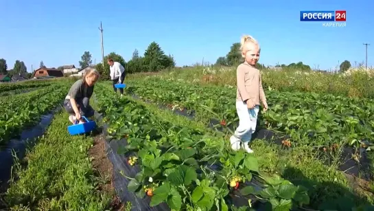 «За городом». 27.07.2022