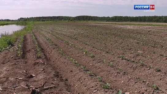 «За городом». 26.06.20