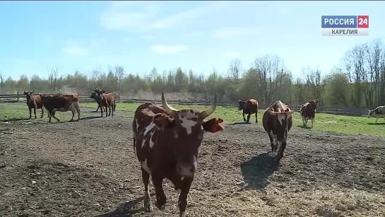 «За городом». 19.06.19