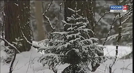 «Дежурная часть». 10.01.17