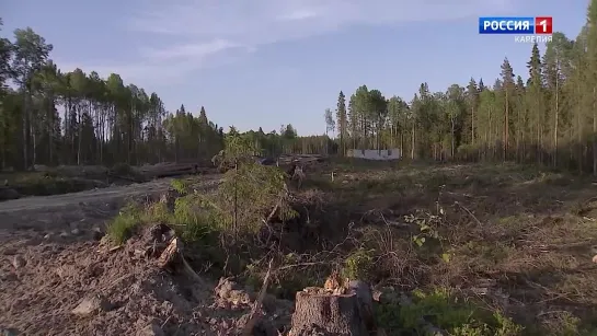 «Депутатский запрос». 22.10.23