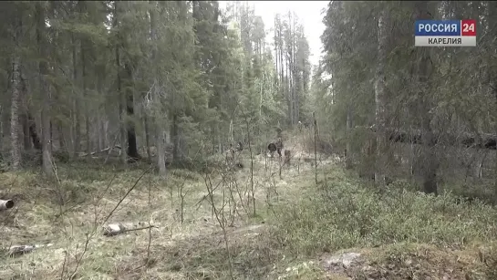 «Действующие лица». 27.09.19