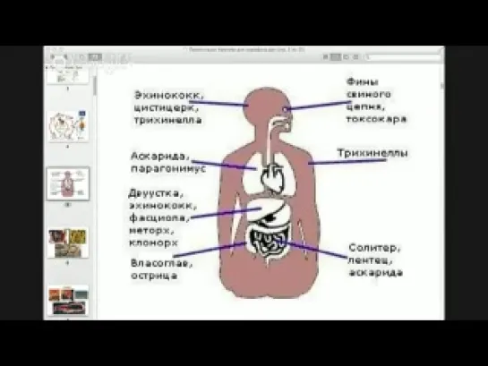 Юрий Фролов - Как защититься от паразитов