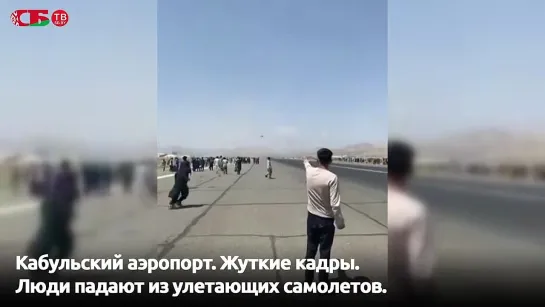 Жуткое видео. Люди падают из улетающих самолетов. Военные США стреляют в гражданских