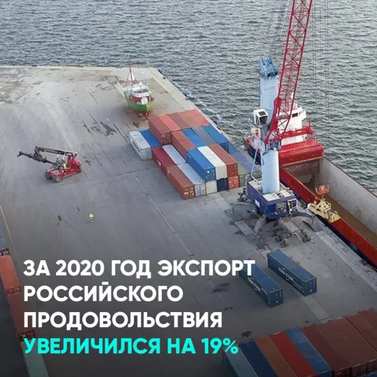 За 2020 год экспорт российского продовольствия увеличился на 19%