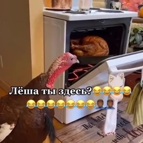 В поисках Лёши 🤣🤣🤣