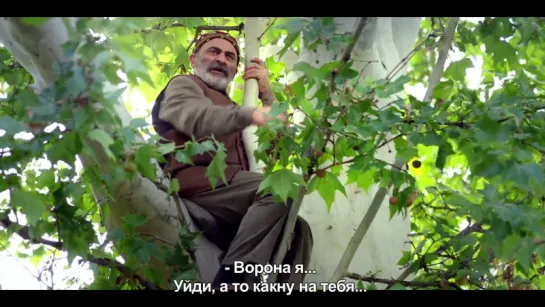 СПАСИБО ПАПА (Thank you Dad) Trailer with RU subs-HD