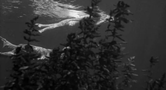 Creature from the Black Lagoon (Jack Arnold, 1954)