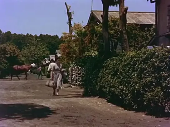 The Phantom Horse (Koji Shima, 1955)