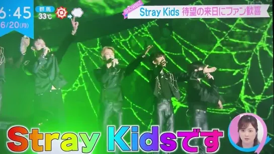 [220620] Stray Kids » Japan TV 'ZIP!'