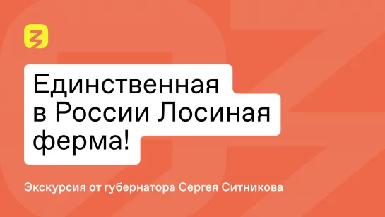 Самая крупная лосиная ферма в мире!