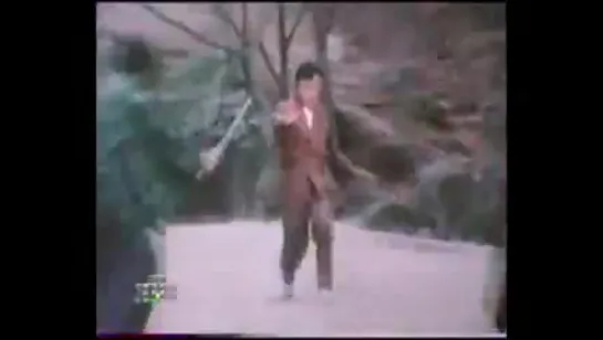 bruce and shaolin kung fu (1977)-tran tinh , bruce le