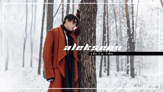 ALEKSEEV - Как ты там