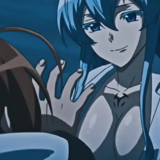 ▹ akame ga kill