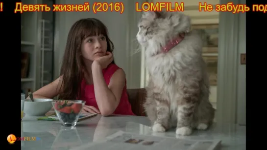 Смотрим вместе *** Девять жизней (2016)