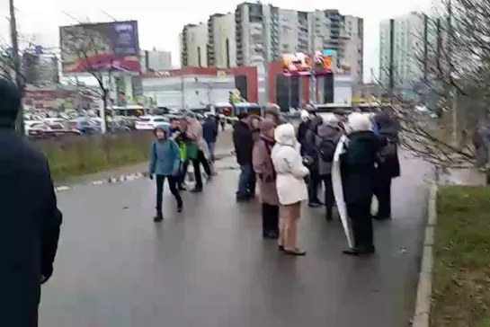 Одиночный пикет у входа в парк Малиновка 18.11.2018 #Savemalinovka