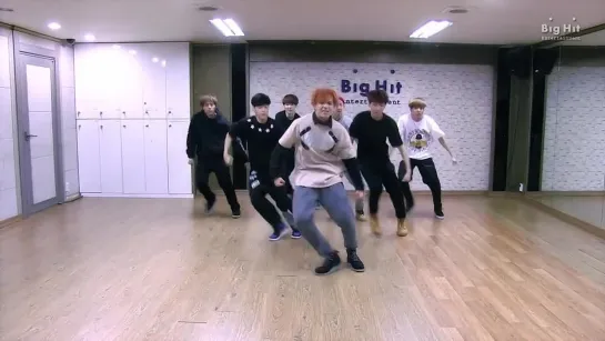 BTS - BOY IN LUV (Dance Practice)