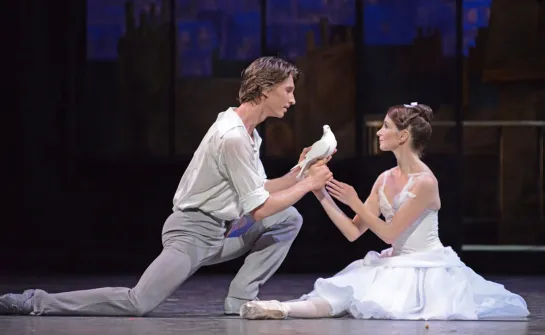 Two Pigeons, Royal Ballet (2016)