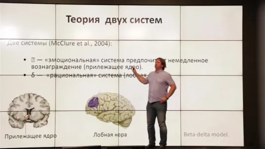 Нейроэкономика. Как мозг принимает решения