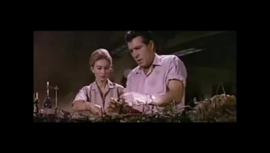 День Триффидов / The Day of the Triffids (1962)