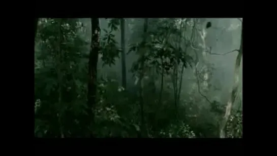 Лес смерти/Forest of Death (2007)