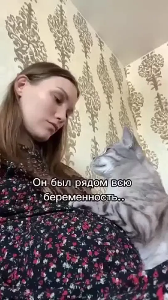 А вы встречали таких преданных котиков 🥹? ❤️