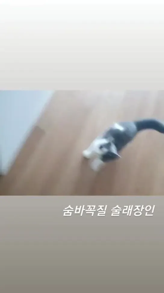 [IG 18.05.21] -Ловушка для пряток - Story de Kwonho com a Kkoongie,  - Taemin