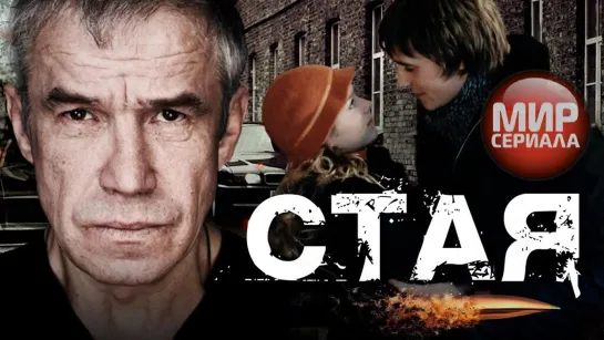 🎬❝СТАЯ❞ __ Криминальная драма✔