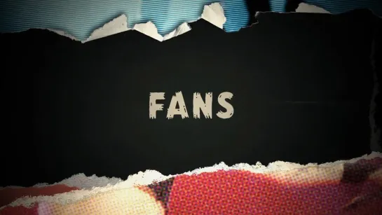 The Truth About... Fans