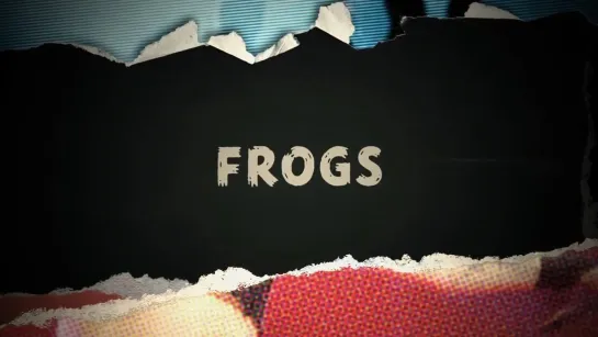 The Truth About... Frogs