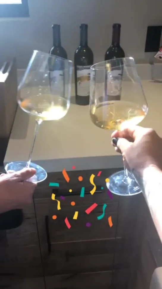 Two Wolves Wine: Instagram Stories