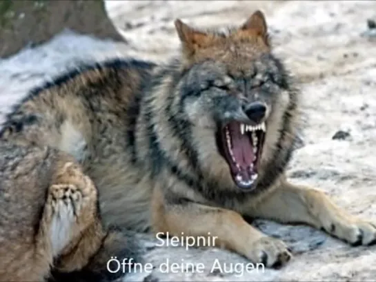 Sleipnir - Öffne deine Augen