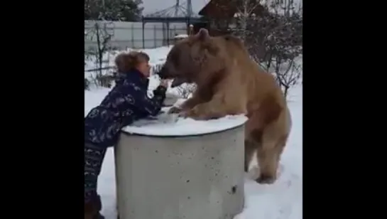 Не забудьте покормить своих медведей 🙂🙂🐻