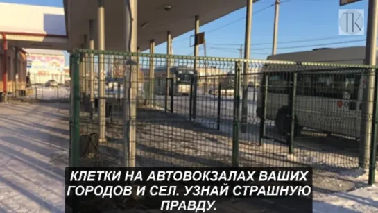 КЛЕТКИ на автовокзалах ваших городов. Узнай страшную правду. 966