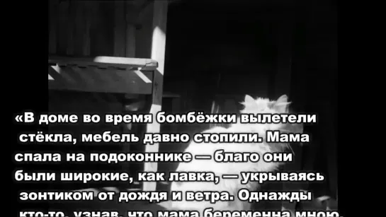 "Коты блокадного Ленинграда"- Вот кто спасал людей в голодные годы...