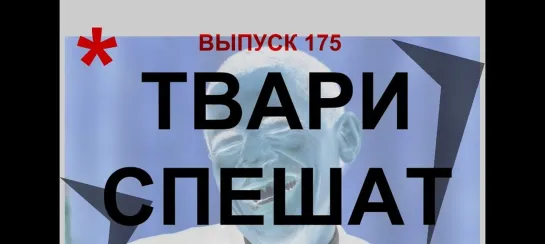 175. НАПАДЕНИЕ. Ждут часа Х. 2024 год. Геноцид коренного населения России. Дима Димов. ДИМ-ТВ ЛОХ-ТВ