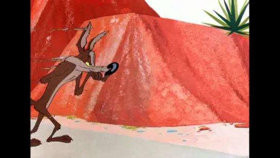 Wile.E.Coyote.and.Road.Runner. 1-10 серии (vk.com/lezginoids)